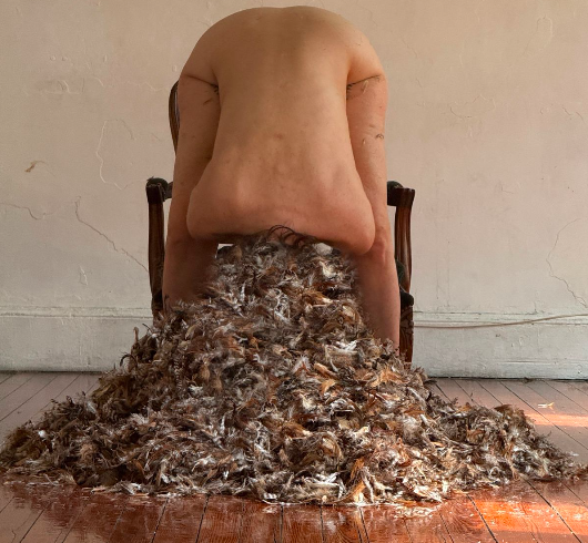 Obra Pluma